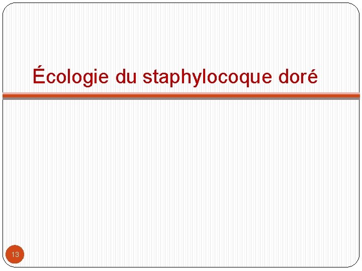 Écologie du staphylocoque doré 13 