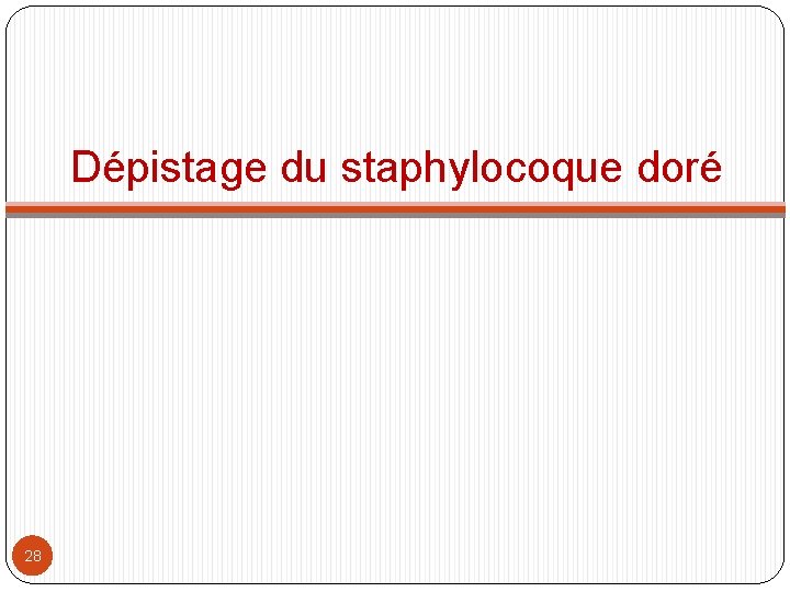Dépistage du staphylocoque doré 28 