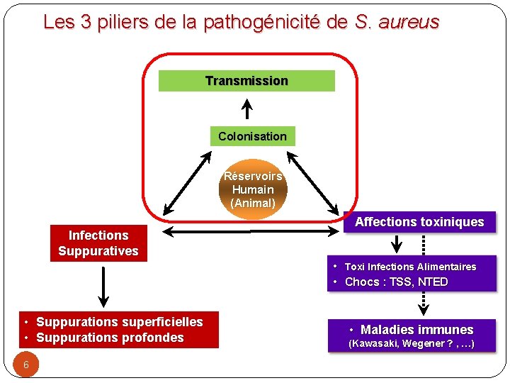 Les 3 piliers de la pathogénicité de S. aureus Transmission Colonisation Réservoirs Humain (Animal)