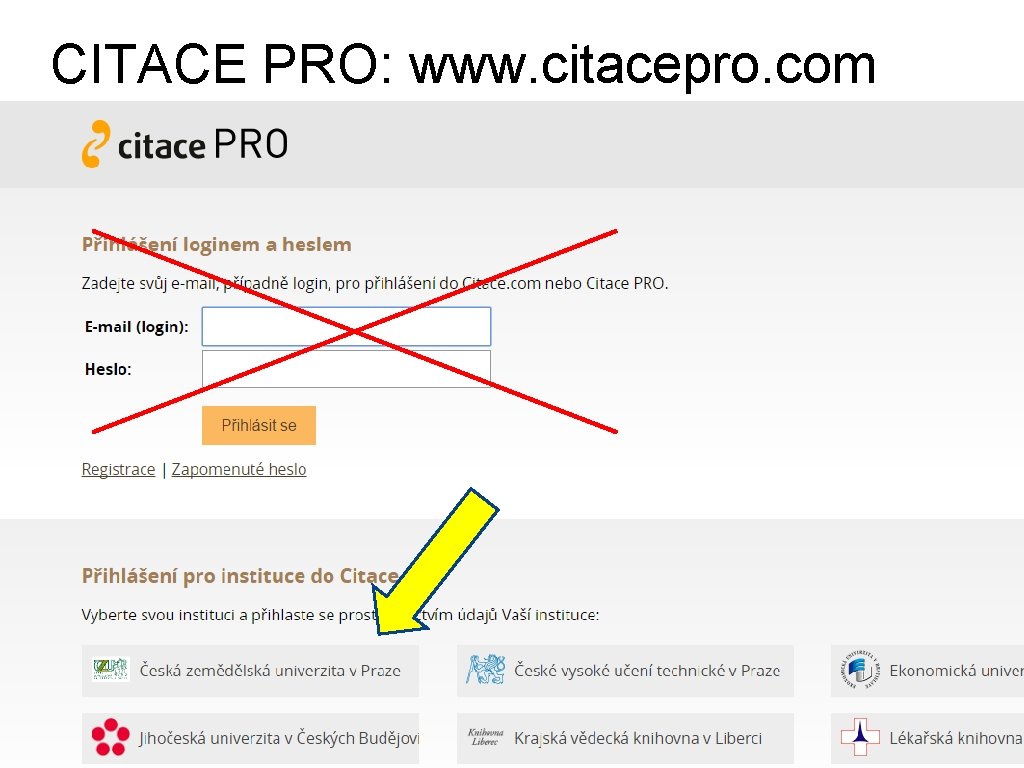 CITACE PRO: www. citacepro. com 