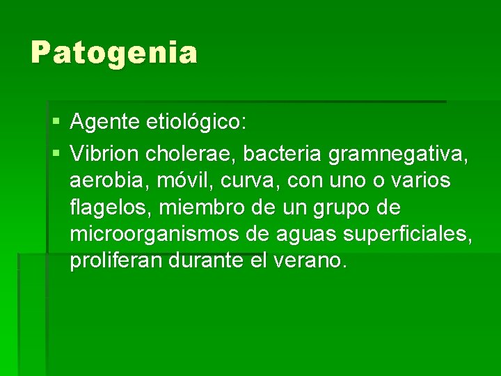 Patogenia § Agente etiológico: § Vibrion cholerae, bacteria gramnegativa, aerobia, móvil, curva, con uno