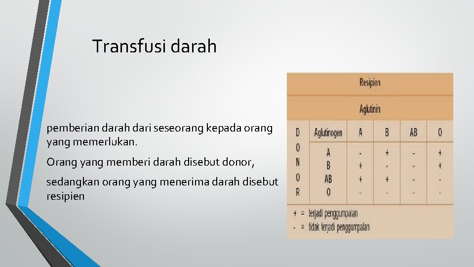 Darah Dan Hemostatis Darah Medium Transpor Dari Sistem