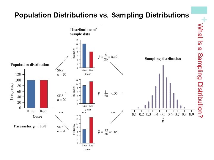 1) The population distribution gives the values of the variable for all the individuals