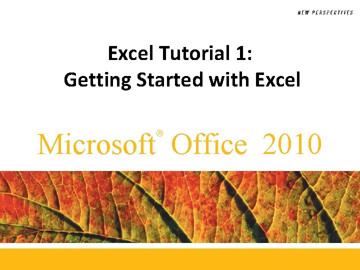 Excel Tutorial 1: Getting Started with Excel Microsoft Office 2010 ® 