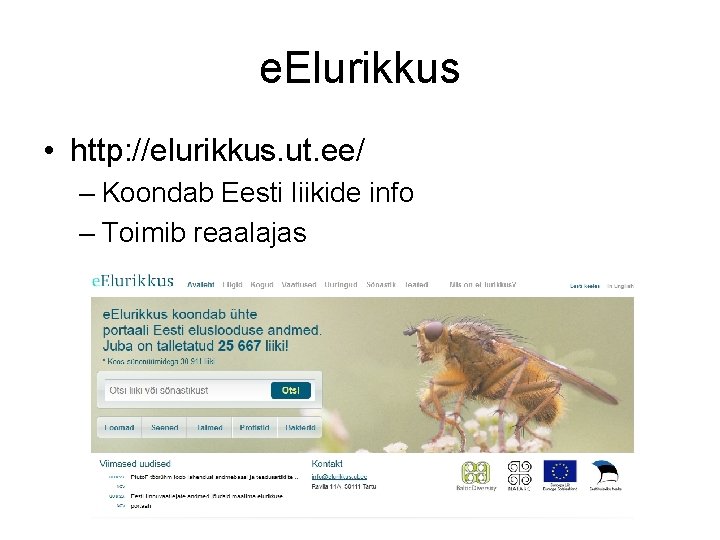 e. Elurikkus • http: //elurikkus. ut. ee/ – Koondab Eesti liikide info – Toimib