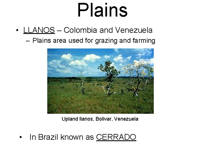 Plains • LLANOS – Colombia and Venezuela – Plains area used for grazing and