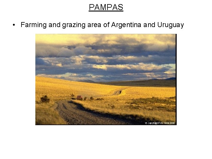 PAMPAS • Farming and grazing area of Argentina and Uruguay 