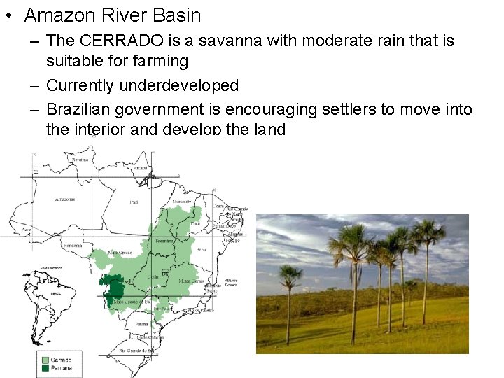  • Amazon River Basin – The CERRADO is a savanna with moderate rain