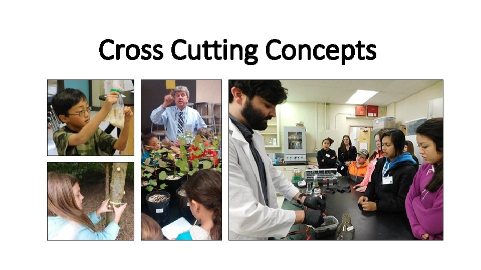 Cross Cutting Concepts 