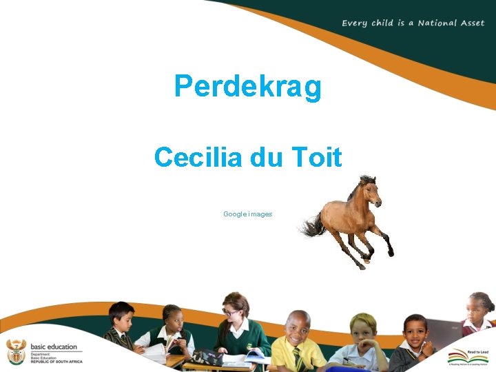 Perdekrag Cecilia du Toit Google images 