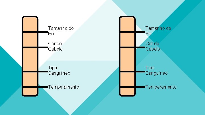 Tamanho do Pé Cor de Cabelo Tipo Sanguíneo Temperamento 