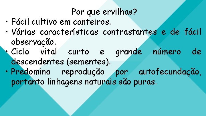  • • Por que ervilhas? Fácil cultivo em canteiros. Várias características contrastantes e