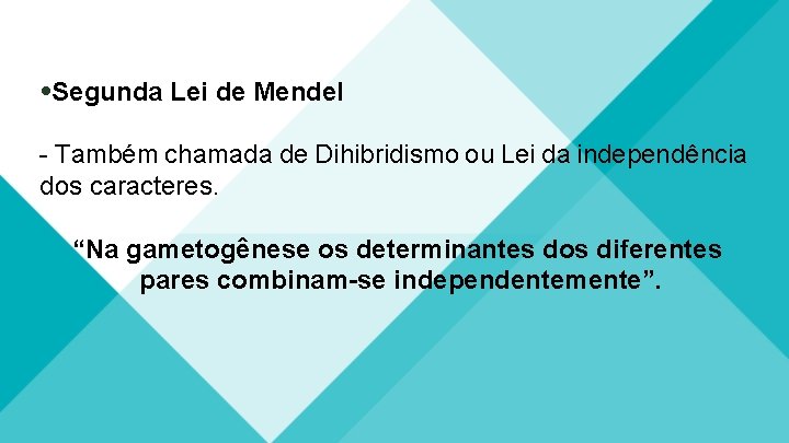  Segunda Lei de Mendel - Também chamada de Dihibridismo ou Lei da independência