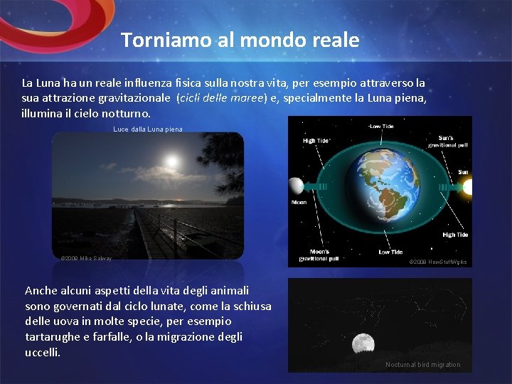 Torniamo al mondo reale La Luna ha un reale influenza fisica sulla nostra vita,