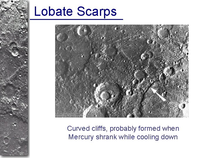 Lobate Scarps Curved cliffs, probably formed when Mercury shrank while cooling down 