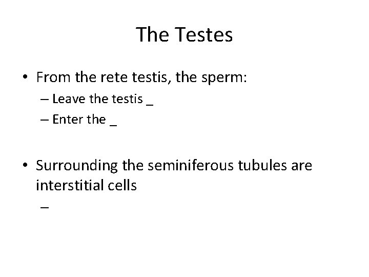 The Testes • From the rete testis, the sperm: – Leave the testis _
