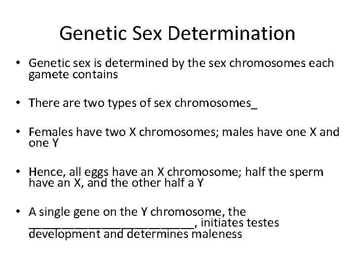 Genetic Sex Determination • Genetic sex is determined by the sex chromosomes each gamete