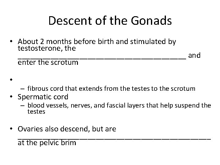 Descent of the Gonads • About 2 months before birth and stimulated by testosterone,