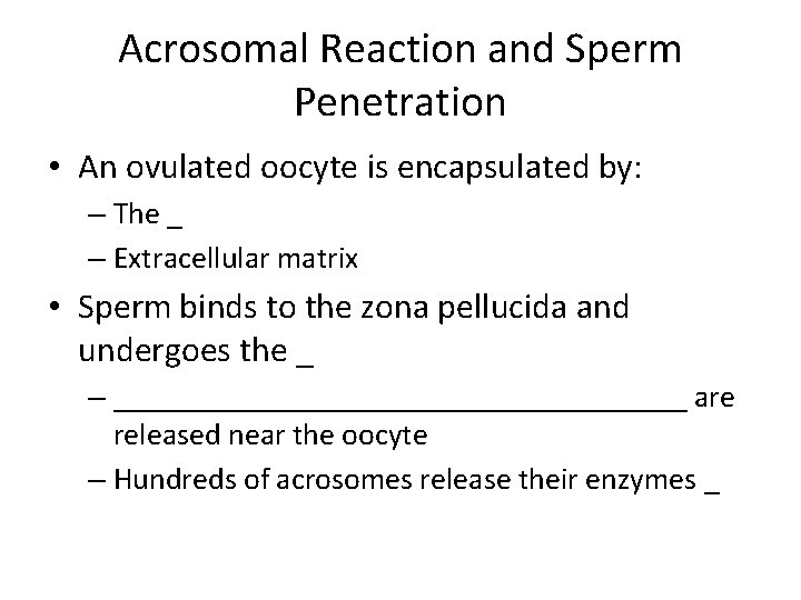 Acrosomal Reaction and Sperm Penetration • An ovulated oocyte is encapsulated by: – The