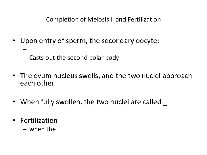 Completion of Meiosis II and Fertilization • Upon entry of sperm, the secondary oocyte: