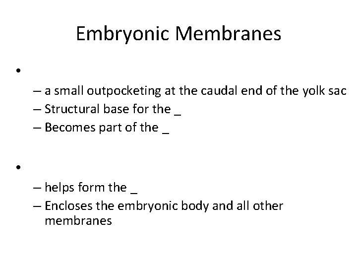 Embryonic Membranes • – a small outpocketing at the caudal end of the yolk