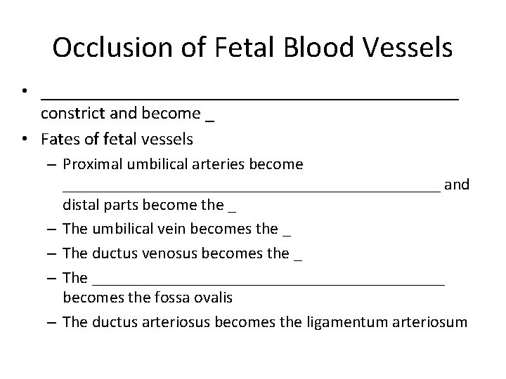 Occlusion of Fetal Blood Vessels • _______________________ constrict and become _ • Fates of