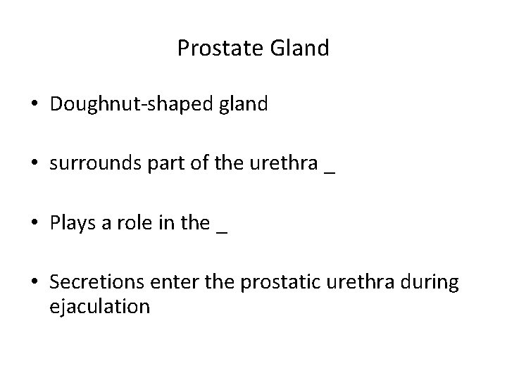 Prostate Gland • Doughnut-shaped gland • surrounds part of the urethra _ • Plays