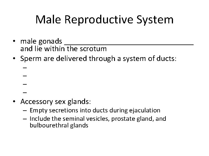 Male Reproductive System • male gonads ________________ and lie within the scrotum • Sperm