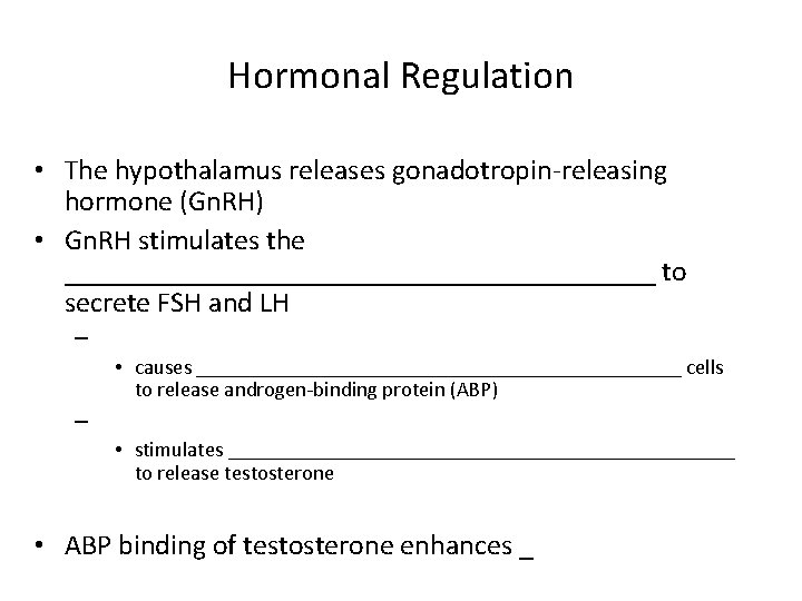 Hormonal Regulation • The hypothalamus releases gonadotropin-releasing hormone (Gn. RH) • Gn. RH stimulates
