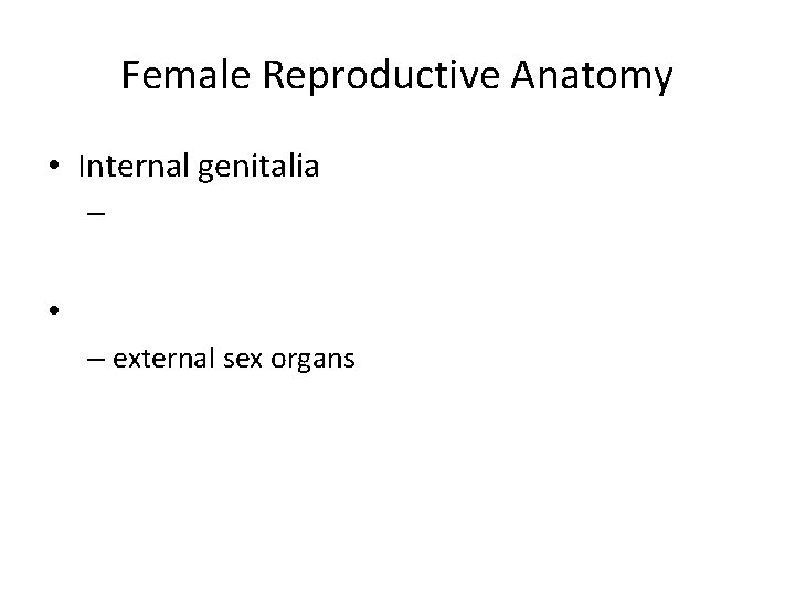 Female Reproductive Anatomy • Internal genitalia – • – external sex organs 