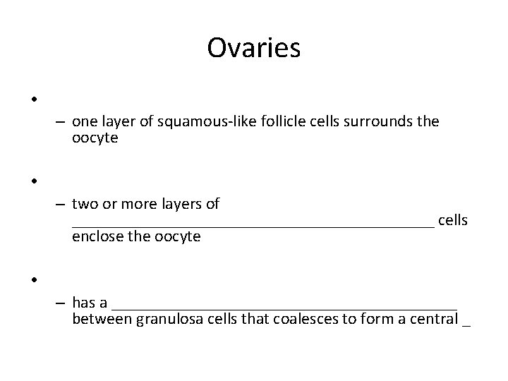 Ovaries • – one layer of squamous-like follicle cells surrounds the oocyte • –