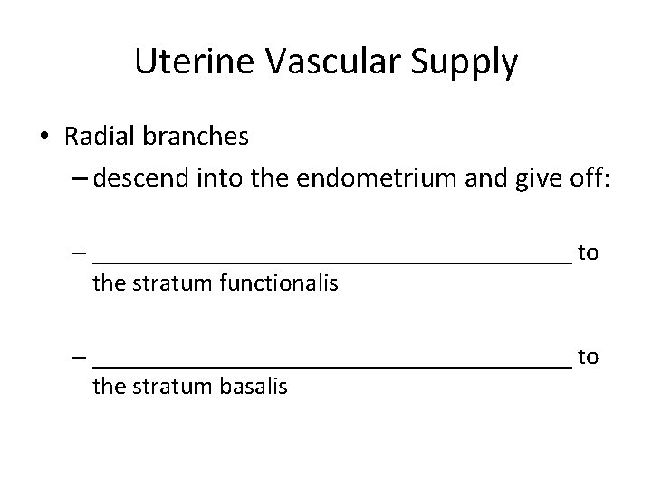 Uterine Vascular Supply • Radial branches – descend into the endometrium and give off: