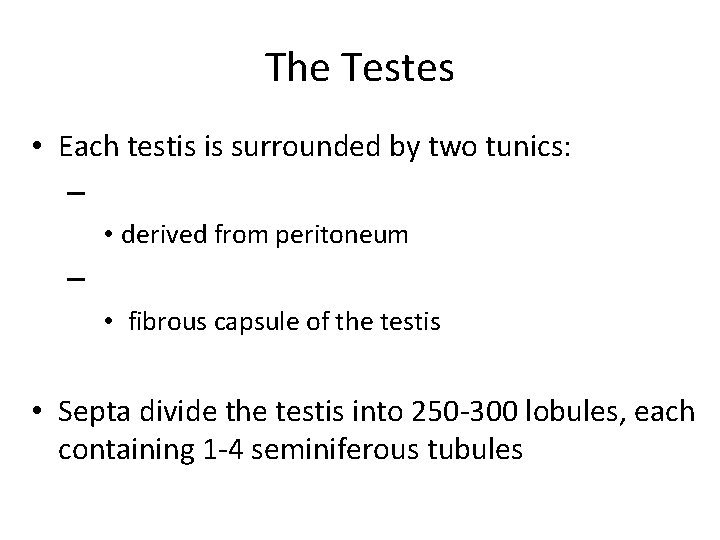 The Testes • Each testis is surrounded by two tunics: – • derived from