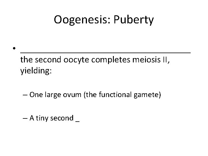 Oogenesis: Puberty • ___________________ the second oocyte completes meiosis II, yielding: – One large