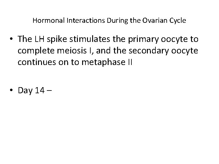 Hormonal Interactions During the Ovarian Cycle • The LH spike stimulates the primary oocyte