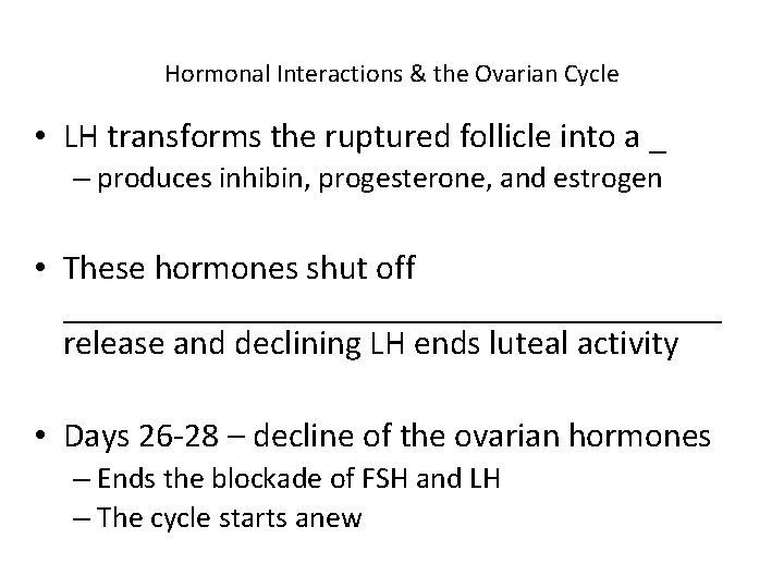 Hormonal Interactions & the Ovarian Cycle • LH transforms the ruptured follicle into a