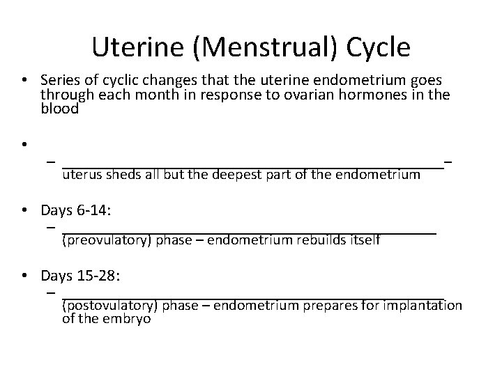 Uterine (Menstrual) Cycle • Series of cyclic changes that the uterine endometrium goes through