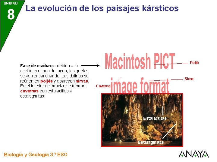 UNIDAD 8 3 La evolución de los paisajes kársticos Fase de madurez: debido a UNIDAD 8 3 La evolución de los paisajes kársticos Fase de madurez: debido a