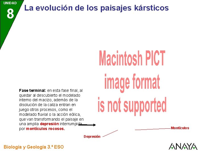 UNIDAD 8 3 La evolución de los paisajes kársticos Fase terminal: en esta fase UNIDAD 8 3 La evolución de los paisajes kársticos Fase terminal: en esta fase
