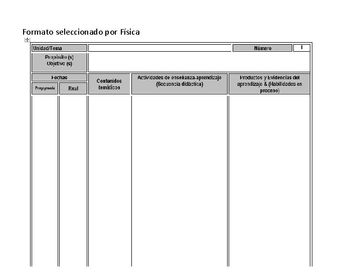 Formato seleccionado por Física 
