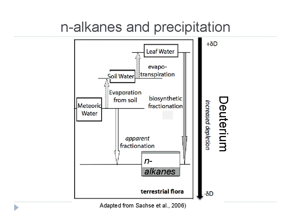 n-alkanes and precipitation Deuterium nalkanes Adapted from Sachse et al. , 2006) 