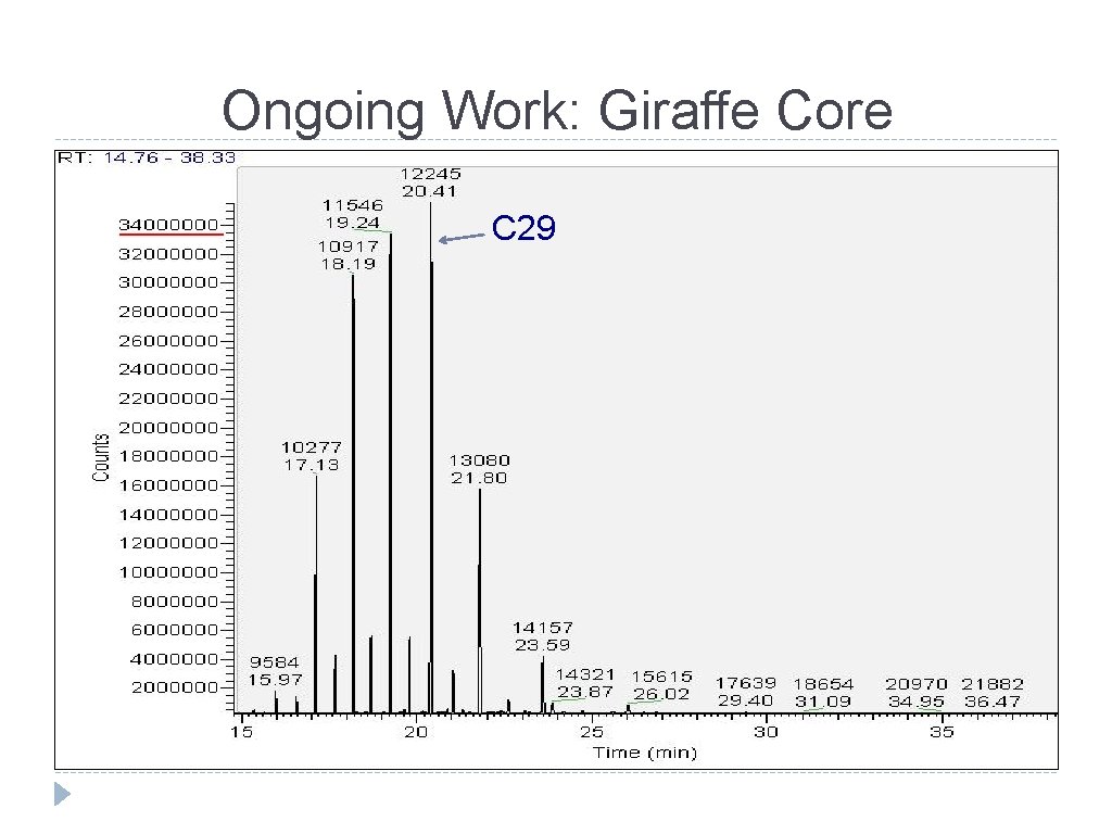 Ongoing Work: Giraffe Core C 29 