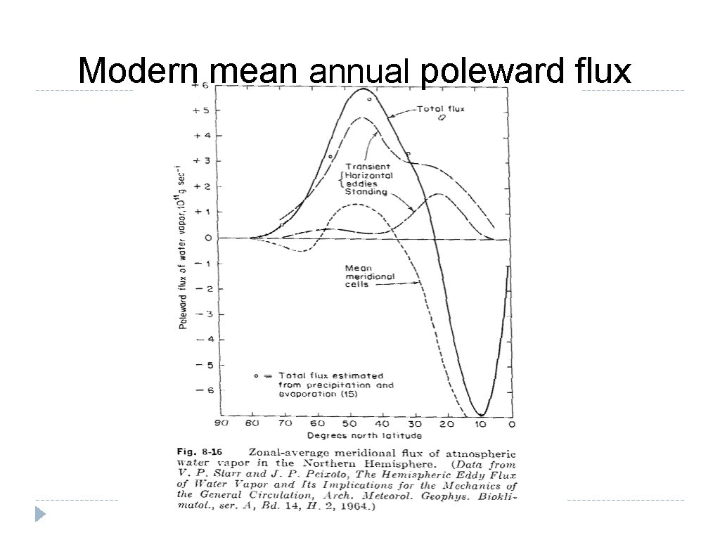 Modern mean annual poleward flux 