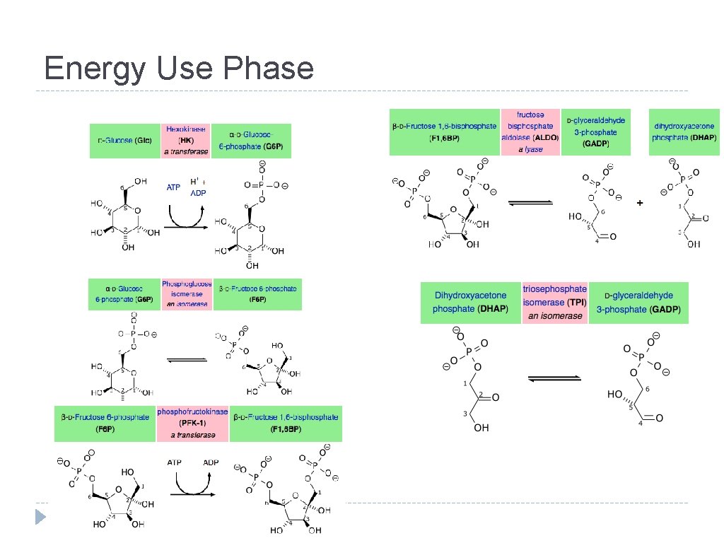 Energy Use Phase 