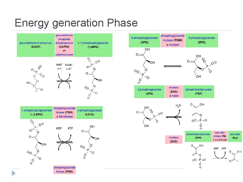 Energy generation Phase 