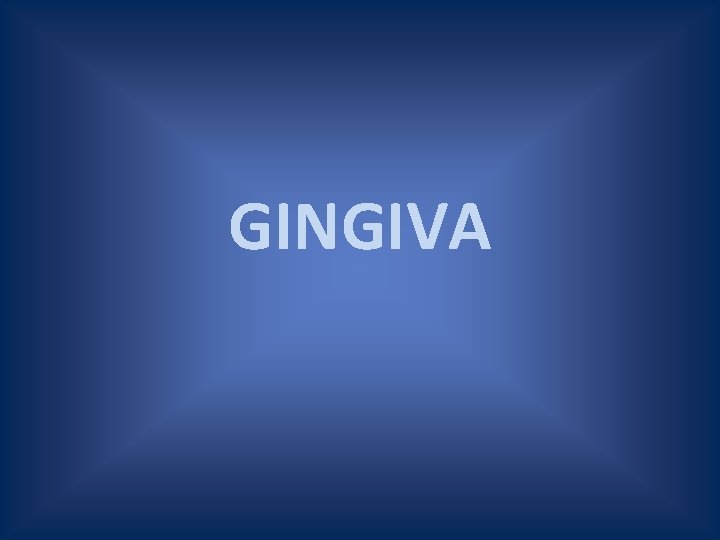 GINGIVA 