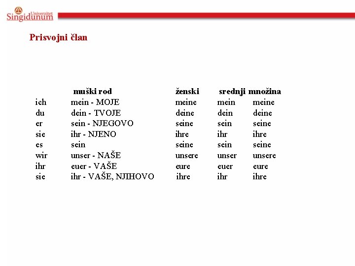 Prisvojni član muški rod ženski ich mein - MOJE meine du dein - TVOJE