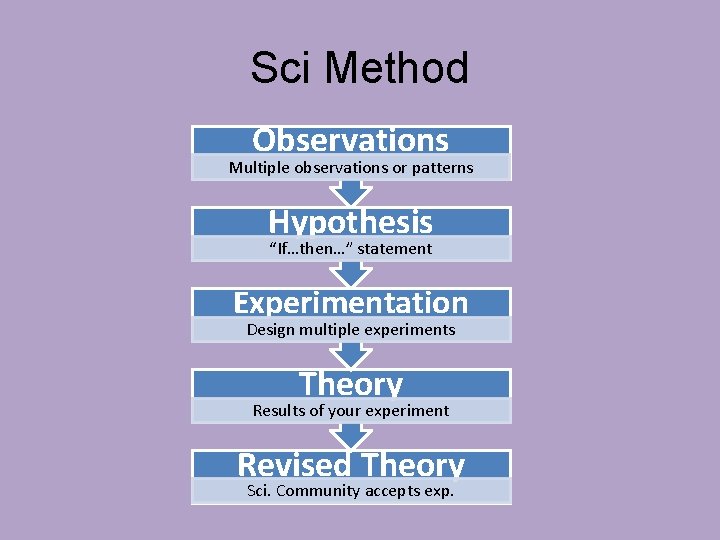 Sci Method Observations Multiple observations or patterns Hypothesis “If…then…” statement Experimentation Design multiple experiments