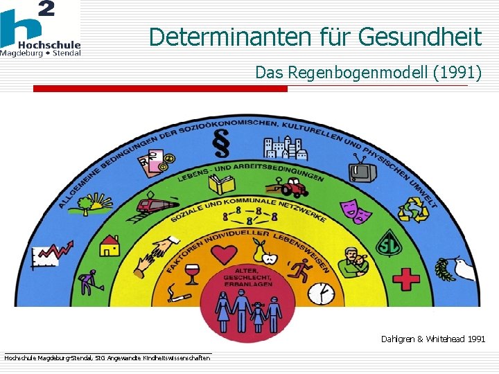 Determinanten für Gesundheit Das Regenbogenmodell (1991) Dahlgren & Whitehead 1991 _______________________________ Hochschule Magdeburg-Stendal, St.