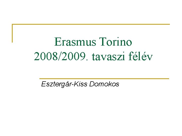 Erasmus Torino 2008/2009. tavaszi félév Esztergár-Kiss Domokos 